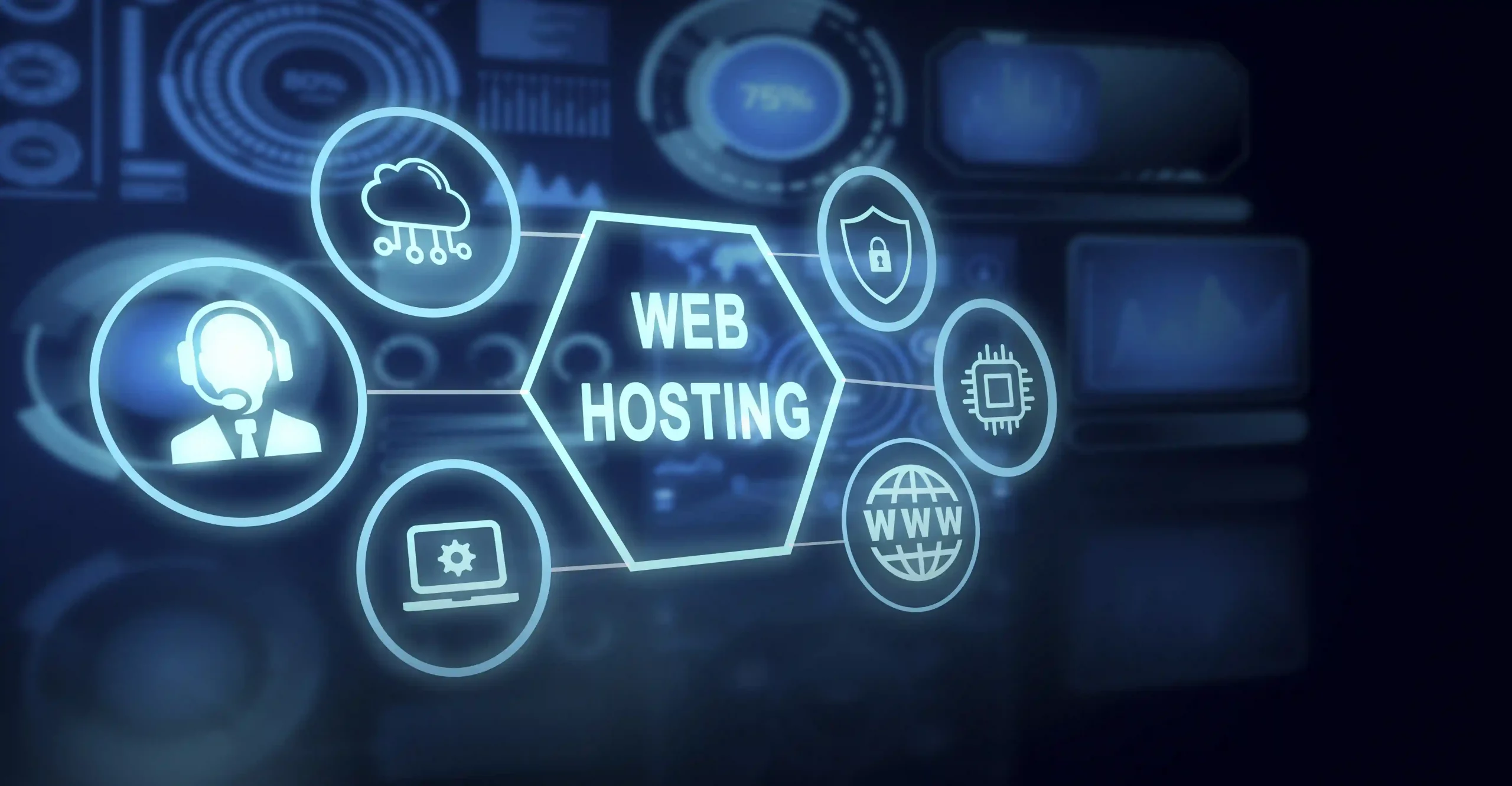 IONOS Hosting by Box BRANDS