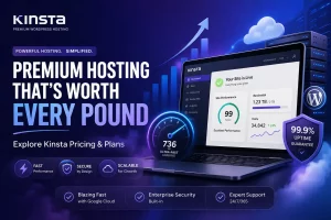 Kinsta Pricing by Box BRANDS